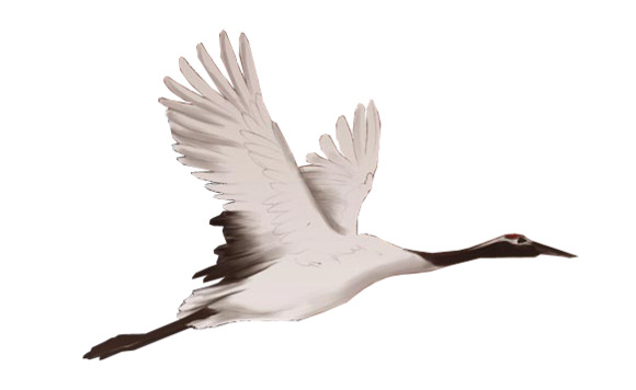 古风天鹅高清PNG透明装饰元素动物设计素材免费下载