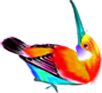 彩色蜂鸟七夕情人节高清PNG透明图片-免费下载节日设计素材