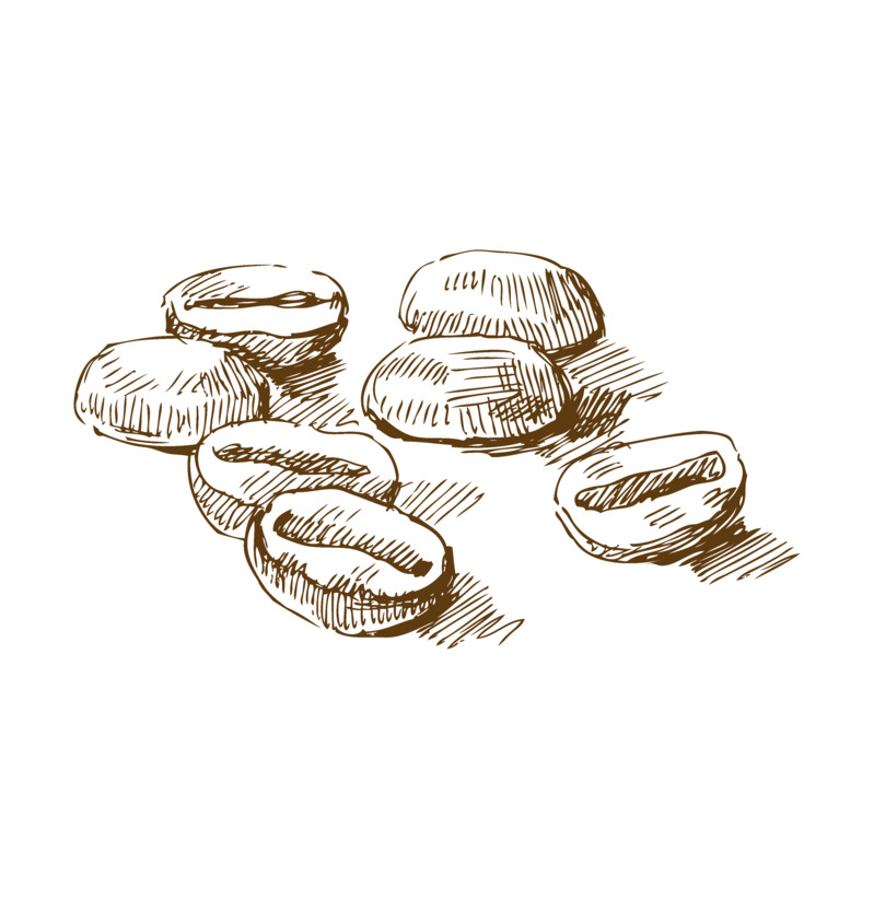 手绘咖啡豆素描卡通元素高清PNG透明图片免费下载