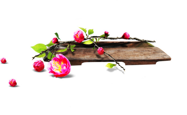 粉色可爱小花植物端午节设计素材高清PNG透明图片免费下载