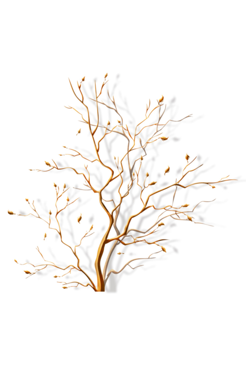 2019元旦春节元宵金色大气树枝高清PNG透明节日素材免费下载