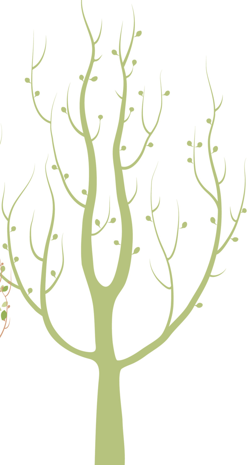 小清新树藤背景高清PNG透明装饰元素花纹设计素材免费下载