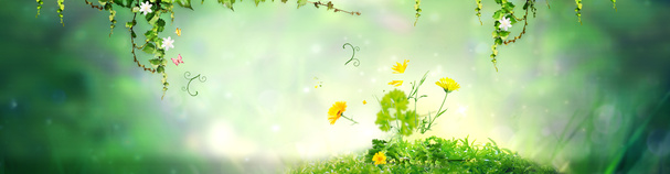 清新春季背景高清PNG透明素材-免费下载banner海报设计元素