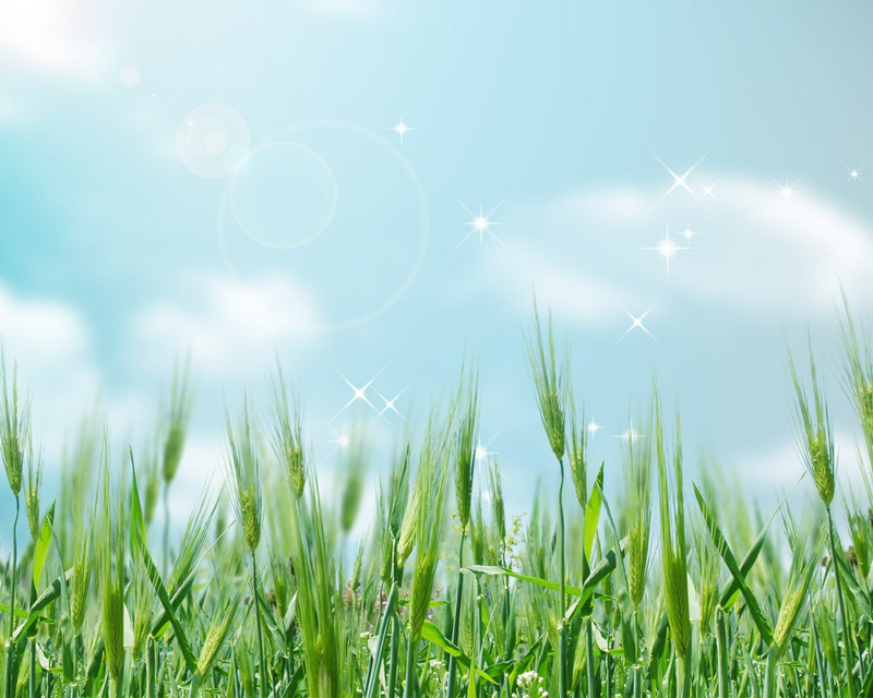 绿色树叶环保高清PNG透明背景摄影风景设计素材免费下载