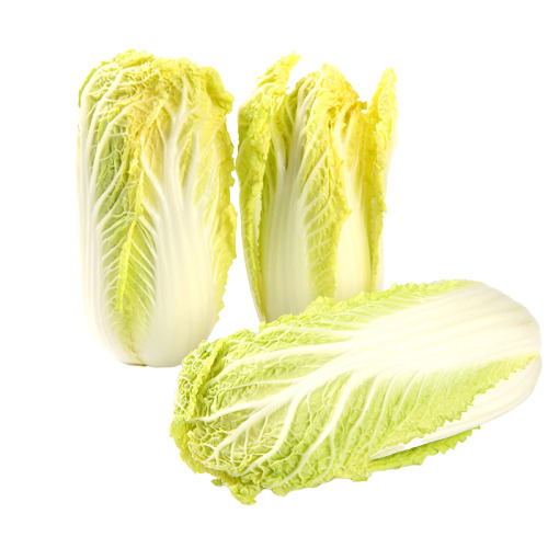 三颗黄白菜高清PNG透明动植物设计素材免费下载