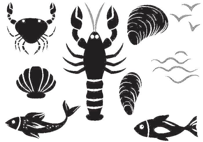 多个海鲜矢量素材高清PNG透明免扣图标设计素材免费下载