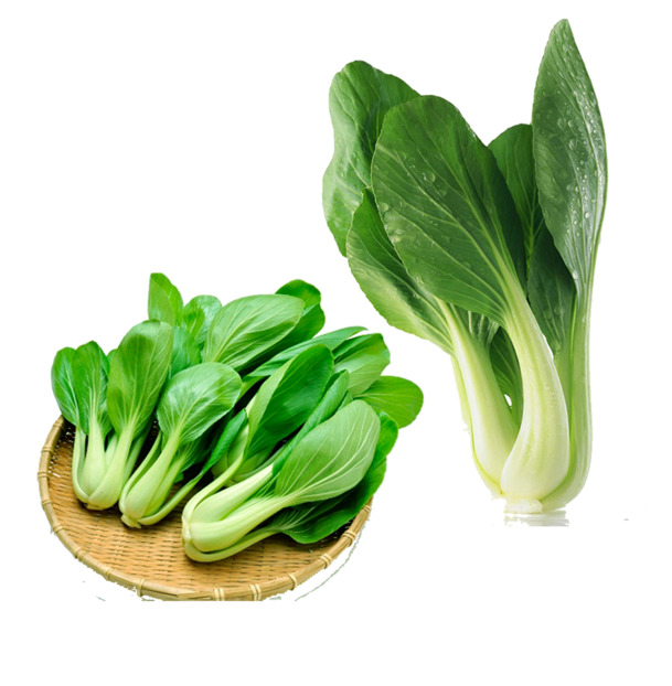 青菜绿色蔬菜高清PNG透明免抠植物设计素材免费下载