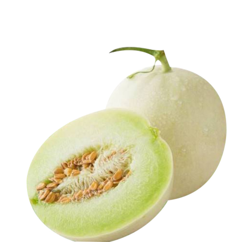 新鲜白香瓜高清PNG透明图片-动植物植物设计素材免费下载