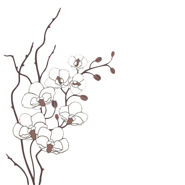 手绘白色梅花高清PNG透明免扣设计素材免费下载