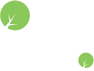 手绘树木儿童漫画高清PNG透明漂浮元素设计素材免费下载