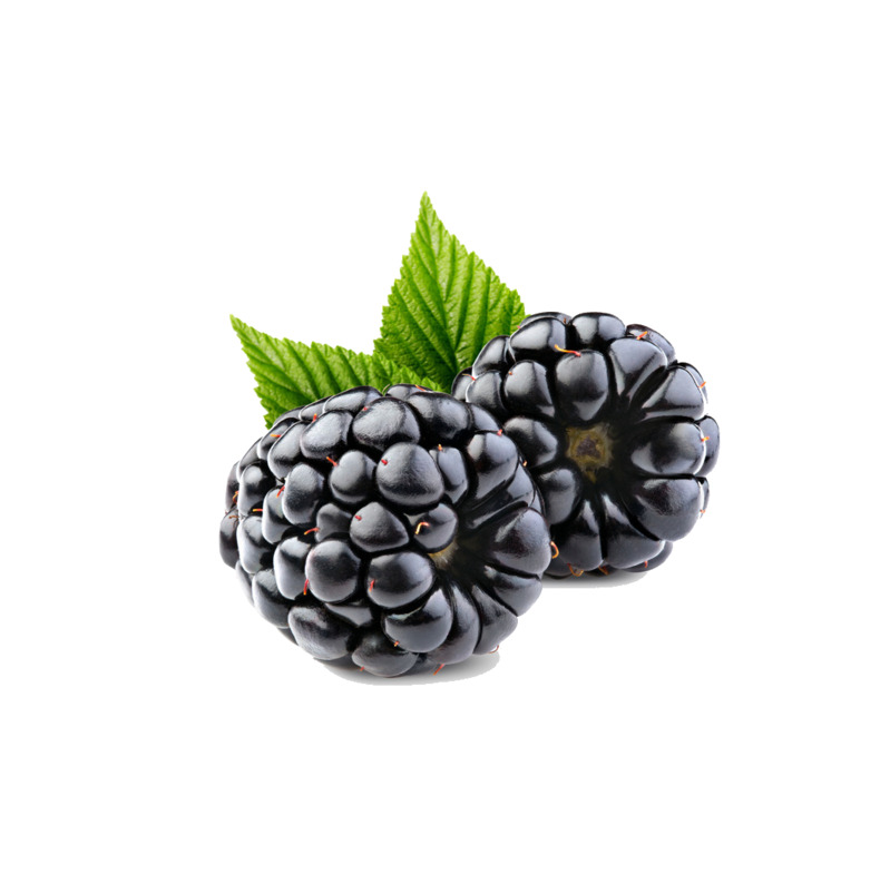 树莓高清PNG透明图片装饰元素与生活用品设计素材免费下载