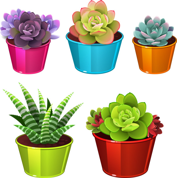 矢量多肉盆栽高清PNG透明植物AI设计素材免费下载