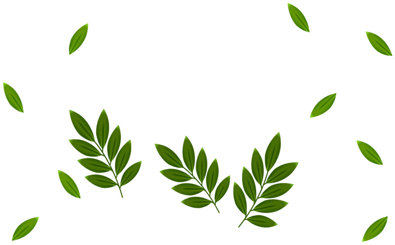 飘落的树叶高清PNG透明漂浮元素设计素材免费下载