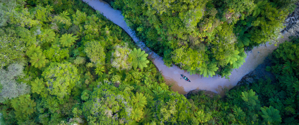 俯视视角下的树林河流 3440x1440带鱼屏4K高清风景壁纸免费下载