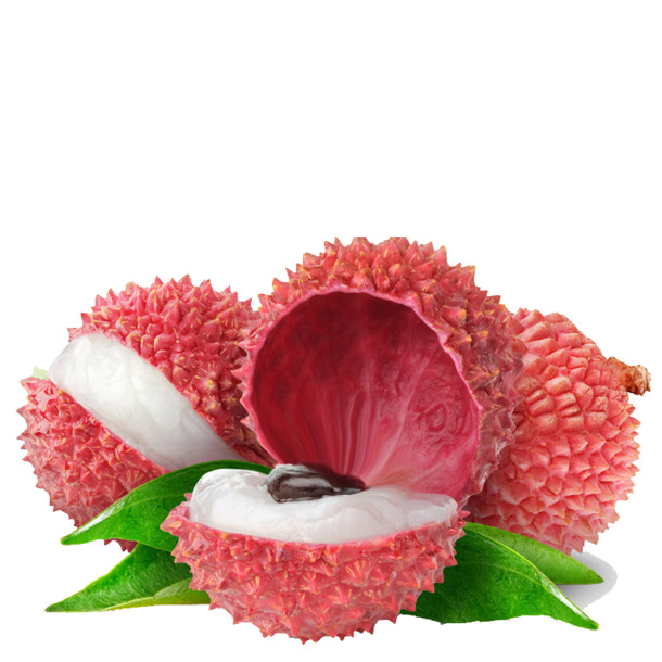 荔枝高清PNG透明图片-动植物植物设计素材免费下载