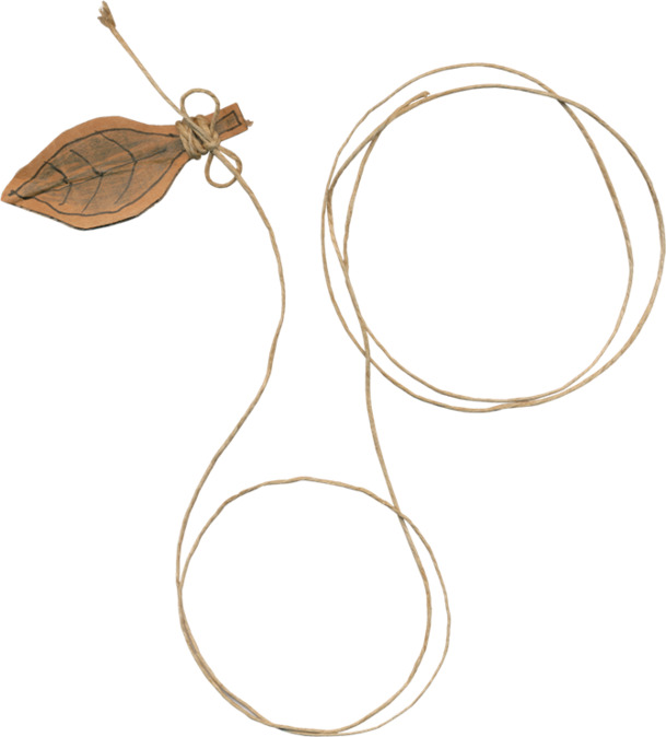 绳索漂浮彩带高清PNG透明设计素材免费下载