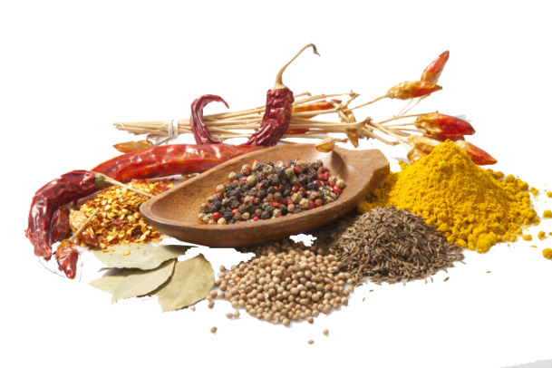 调味品植物装饰元素高清PNG透明设计素材免费下载