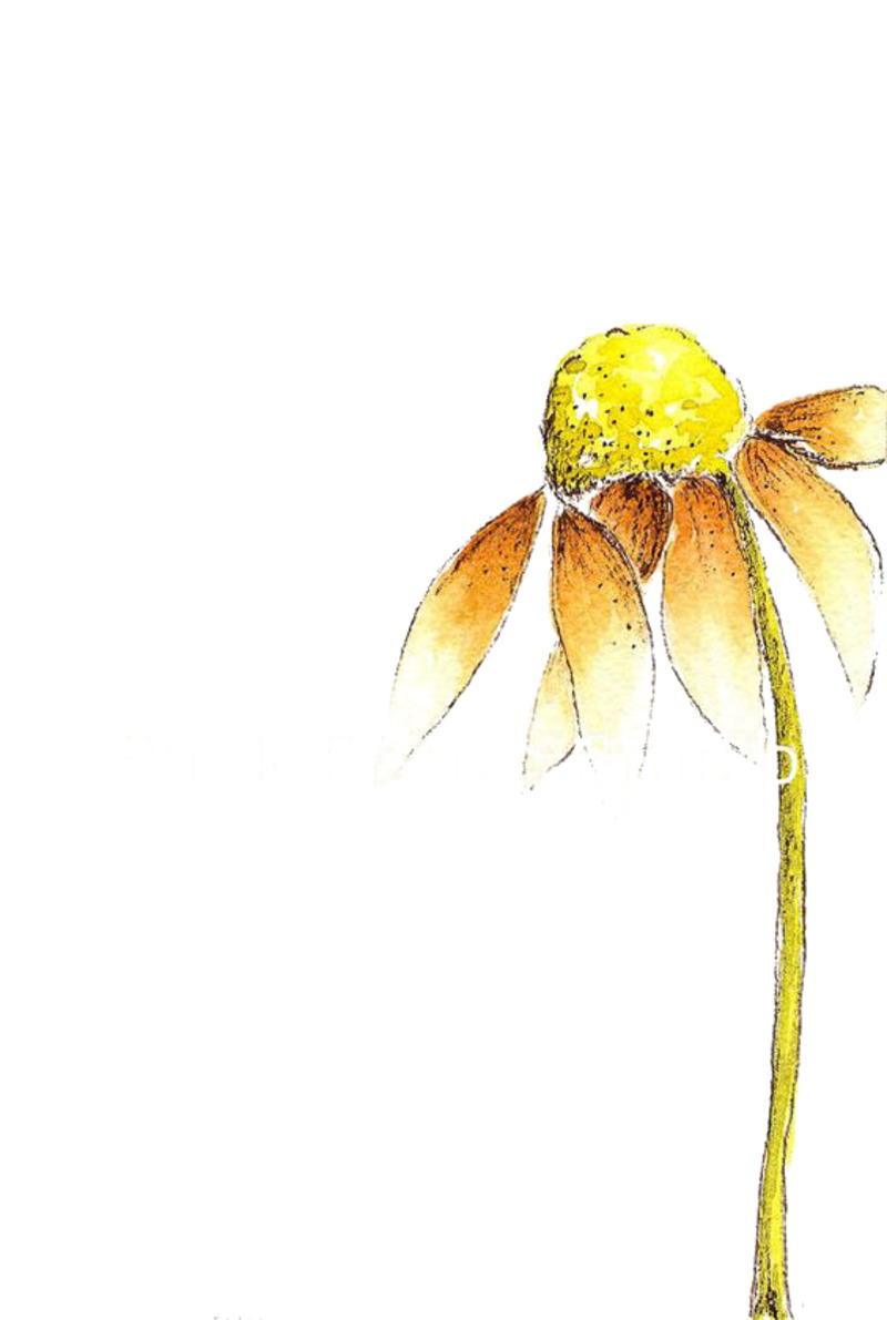 枯萎小花高清PNG透明漂浮花瓣设计素材免费下载