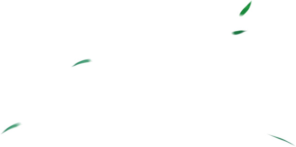 叶子飘落高清PNG透明漂浮元素设计素材免费下载