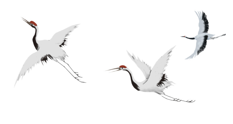 三只飞舞的鹤高清PNG透明图片-元旦春节元宵节日设计素材免费下载
