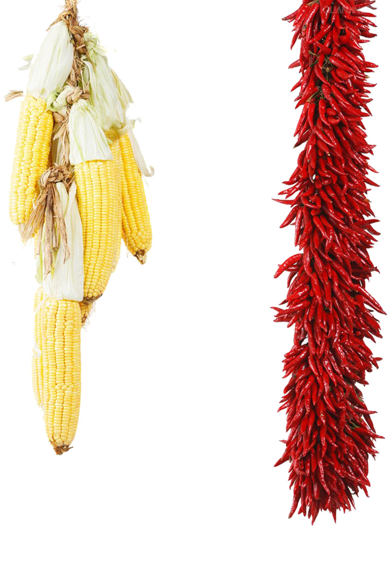 辣椒玉米高清PNG透明动植物植物设计素材免费下载