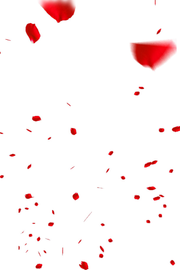 红色红玫瑰花瓣高清PNG透明漂浮元素设计素材免费下载