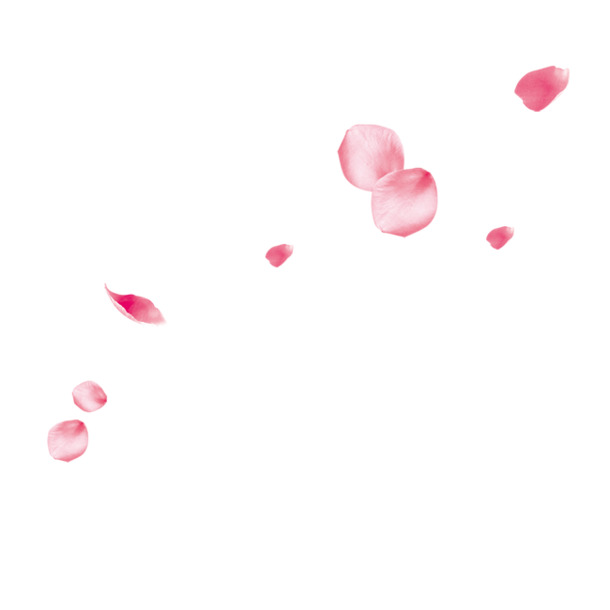 双十一粉色花瓣主页装修高清PNG透明漂浮元素设计素材免费下载