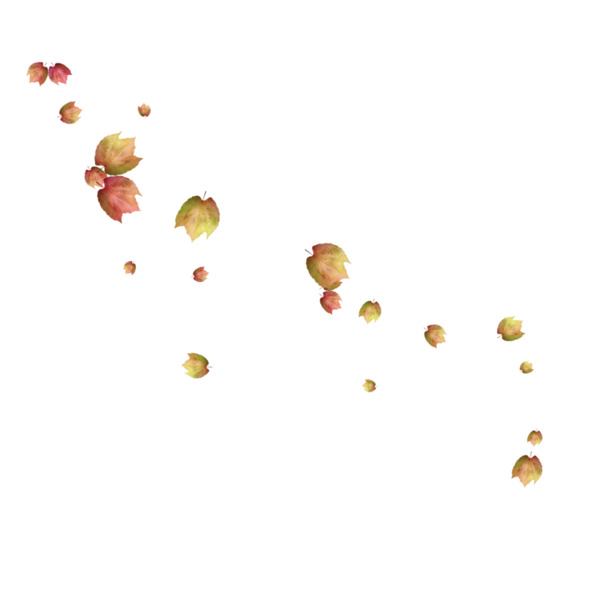 红色花瓣花朵标签