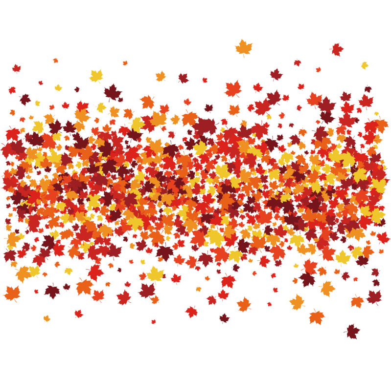 矢量红枫背景高清PNG透明漂浮花瓣设计素材免费下载