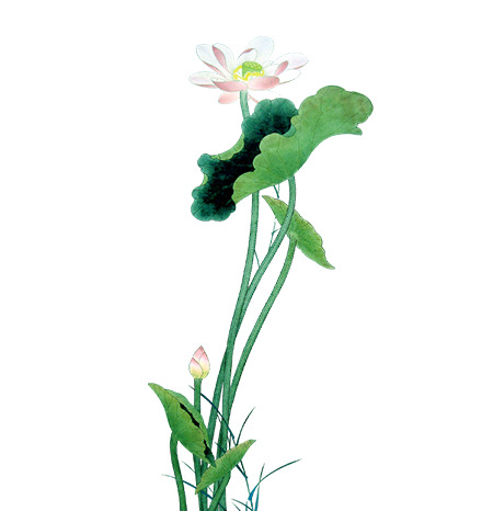 荷花水墨风格高清PNG透明植物装饰设计素材免费下载