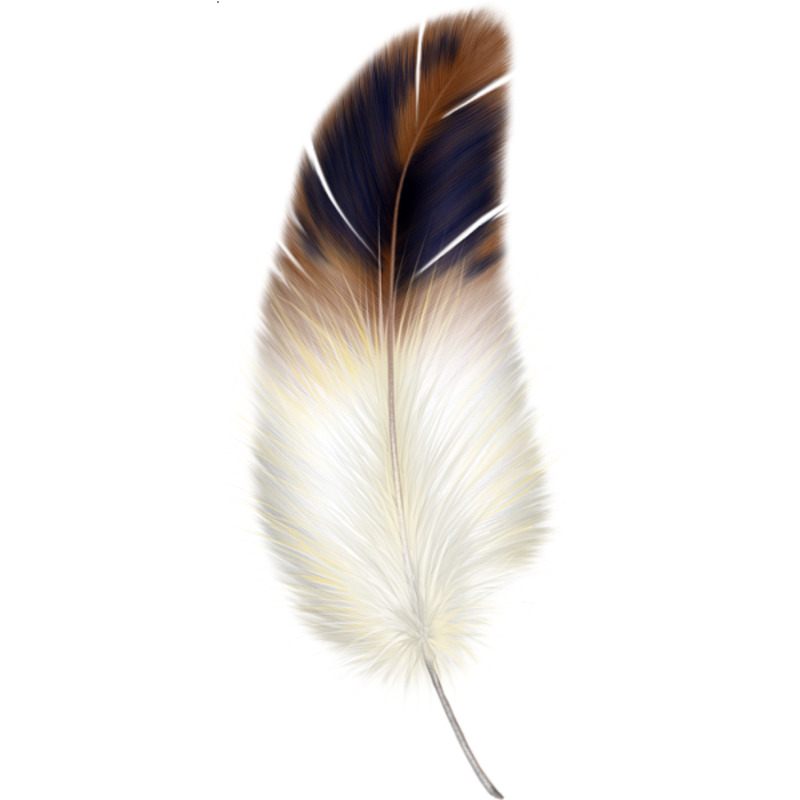 灰色羽毛高清PNG透明动植物动物设计素材免费下载