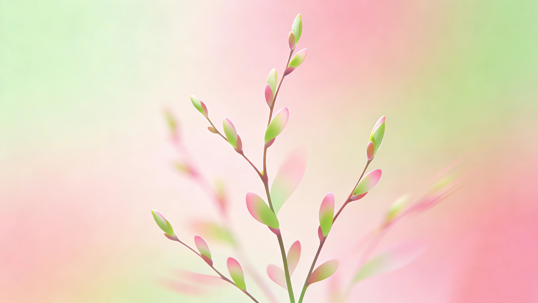 春天柳枝极简主义绘画 简约车机4K高清壁纸3840x2160免费下载