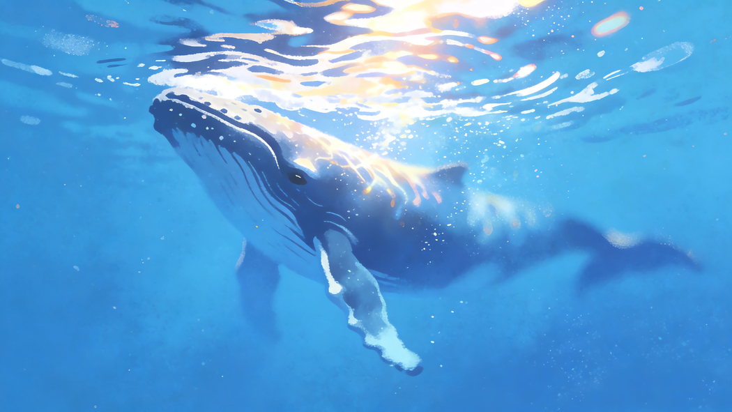 蓝色大海鲸鱼4K高清动物壁纸3840x2160免费下载