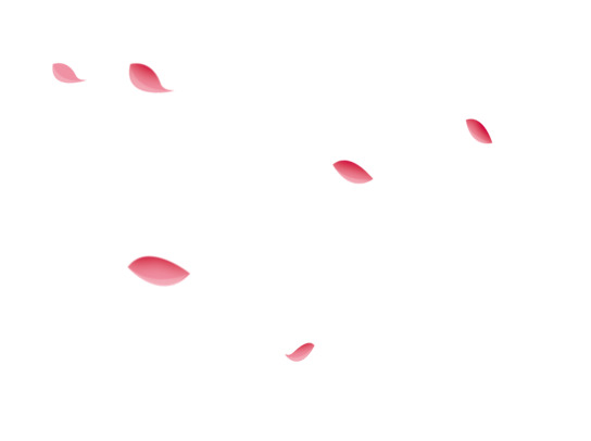 飘落小花瓣高清PNG透明漂浮元素设计素材免费下载