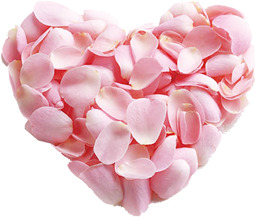 粉色花瓣心形高清PNG透明情人节设计素材免费下载