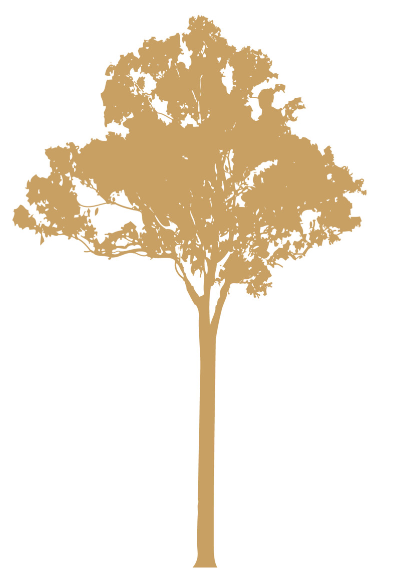 单个树剪影高清PNG透明动植物植物设计素材免费下载