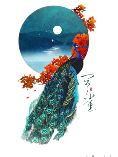 孔雀高清PNG透明图片-动物装饰元素设计素材免费下载