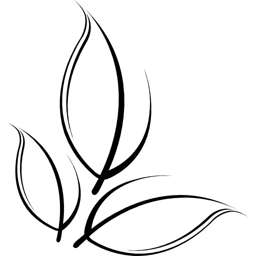 植物叶片图标高清PNG透明免扣设计素材免费下载