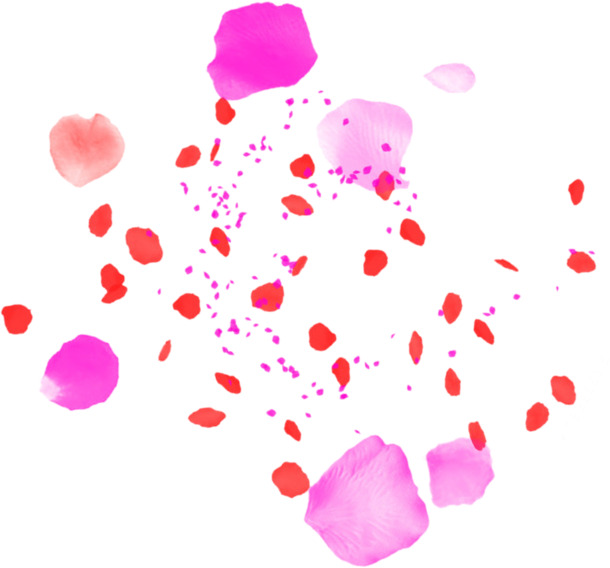 高清PNG透明漂浮花瓣设计素材免费下载