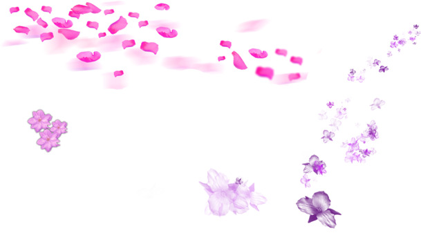 紫色清新花瓣漂浮高清PNG透明设计素材免费下载