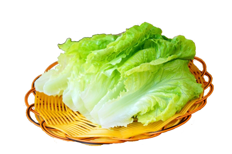 生菜高清PNG透明图片-生活用品设计素材免费下载