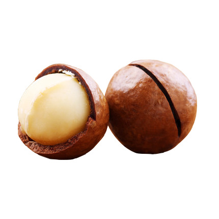 剥开的夏威夷果高清PNG透明装饰元素与动物设计素材免费下载