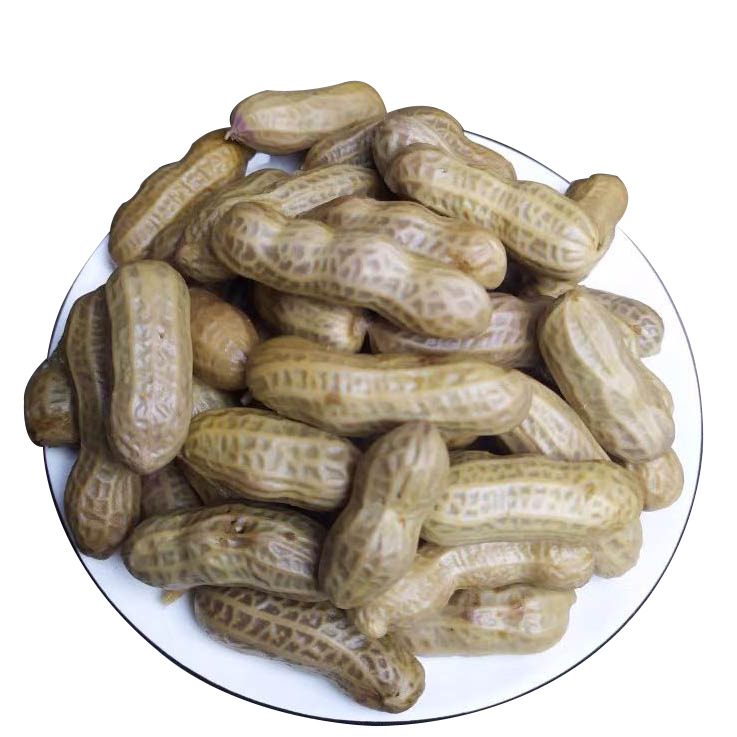 水煮花生高清PNG透明免抠图片-零食设计素材免费下载