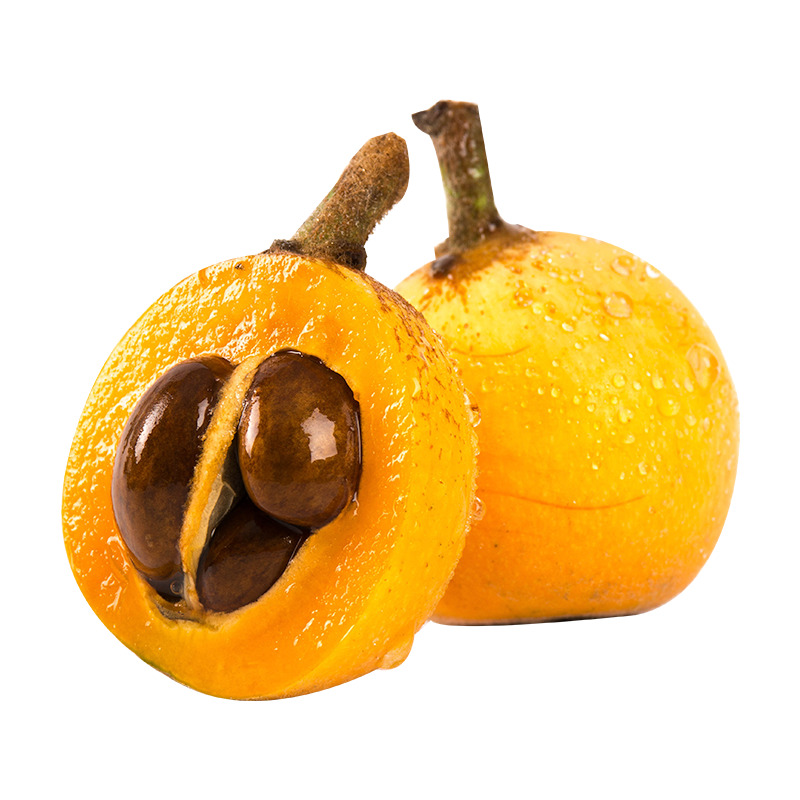 美味水果枇杷高清PNG透明免扣设计素材免费下载