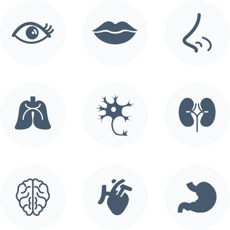 人体器官图标高清PNG透明免扣设计素材免费下载