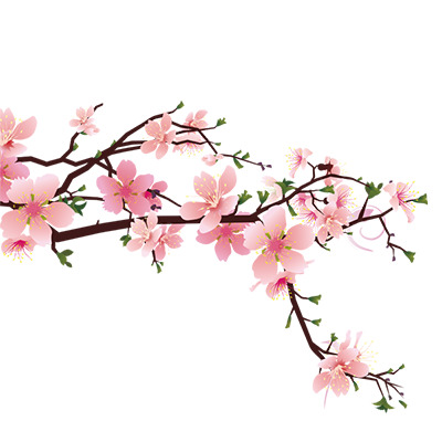 粉色桃花樱花高清PNG透明免扣设计素材免费下载