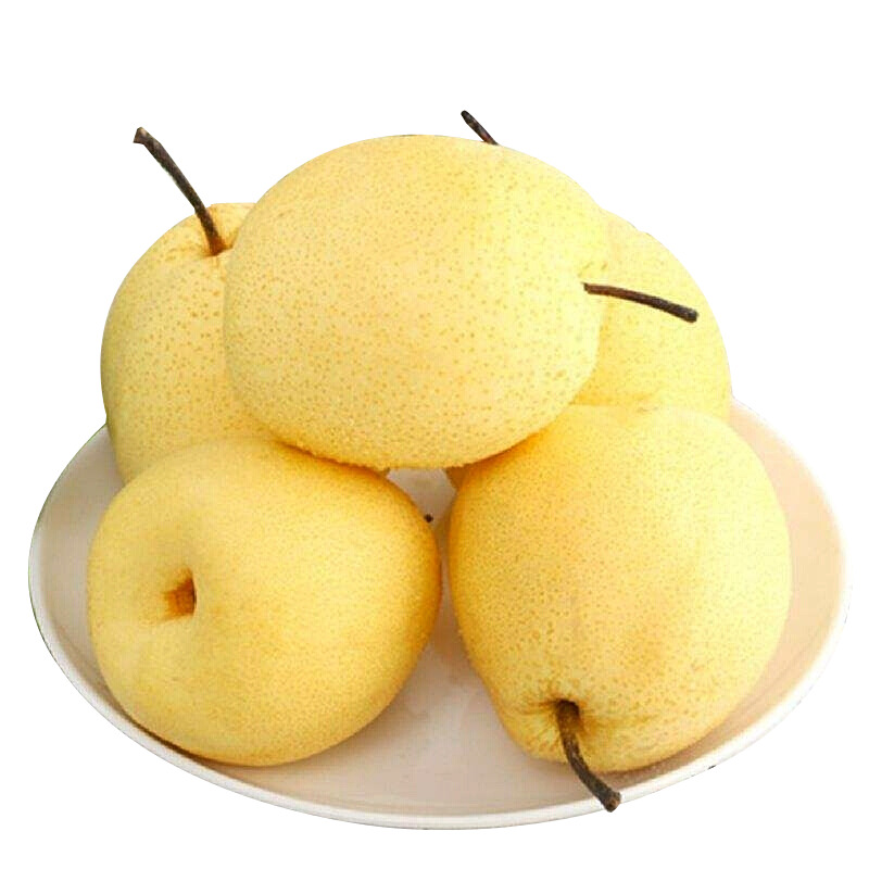 好吃的夏季水果高清PNG透明免扣设计素材免费下载