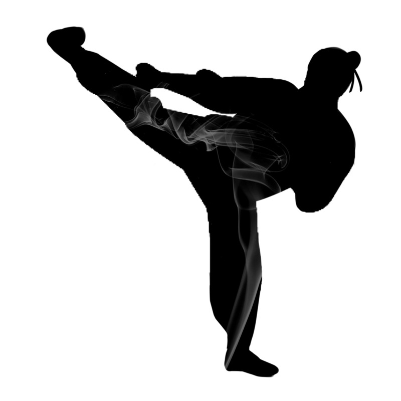 手绘武侠人物武术功夫剪影水墨烟雾高清PNG免扣商用素材免费下载