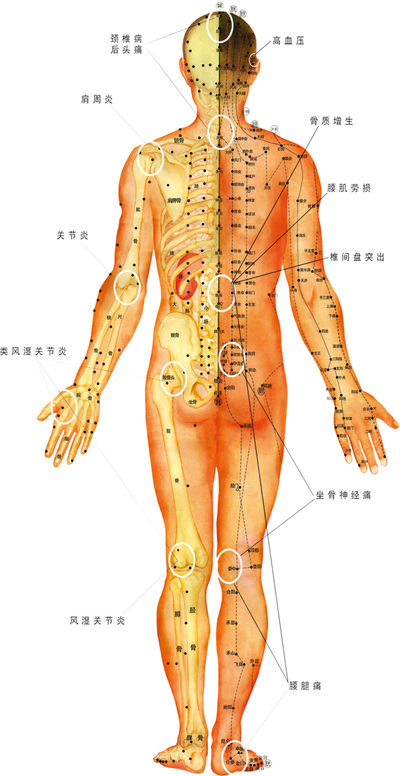 人体穴位图高清PNG透明免扣设计素材免费下载