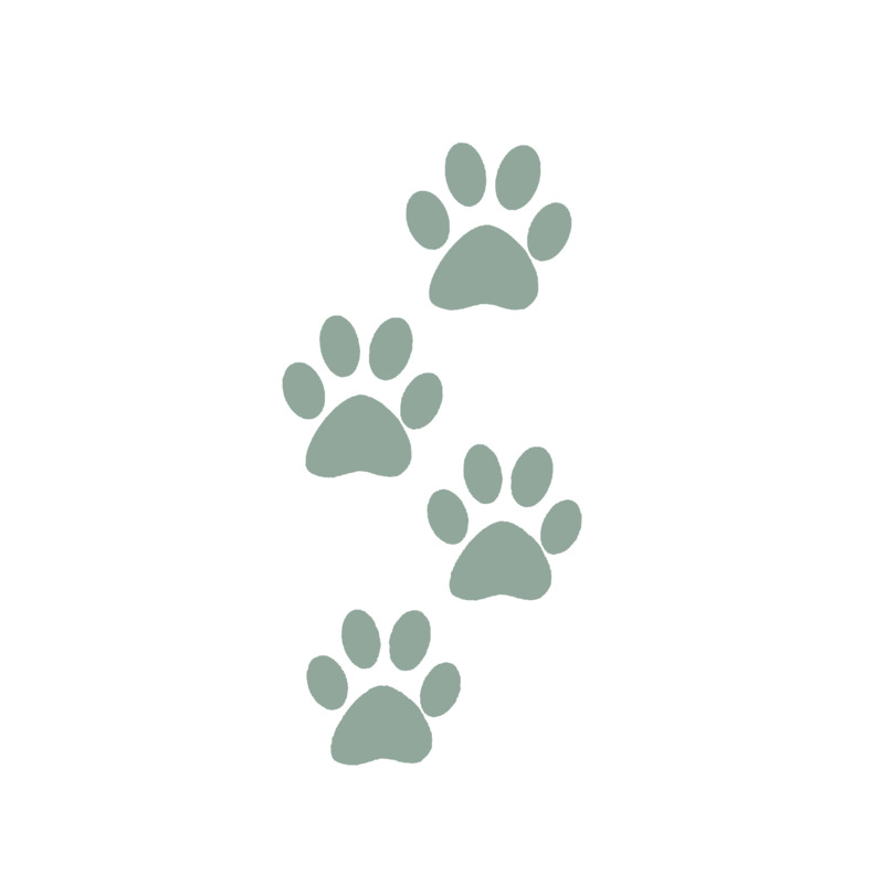 小狗熊灰色脚印高清PNG透明免扣设计素材免费下载